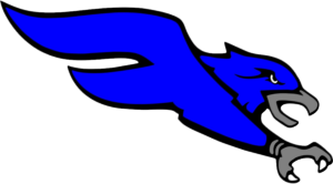 Right Falcon Logo